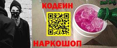мдпв Кингисепп