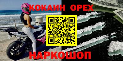 мдпв Кингисепп