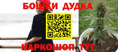 мдпв Кингисепп