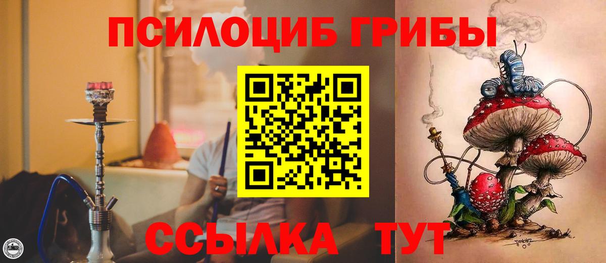 Благовещенск  Галлюциногенные грибы мицелий  Вход с VPN  Галлюциногенные грибы прущие грибы 
